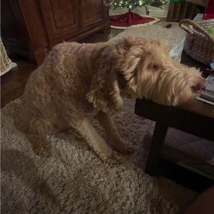 Meet your Posher, Hagen